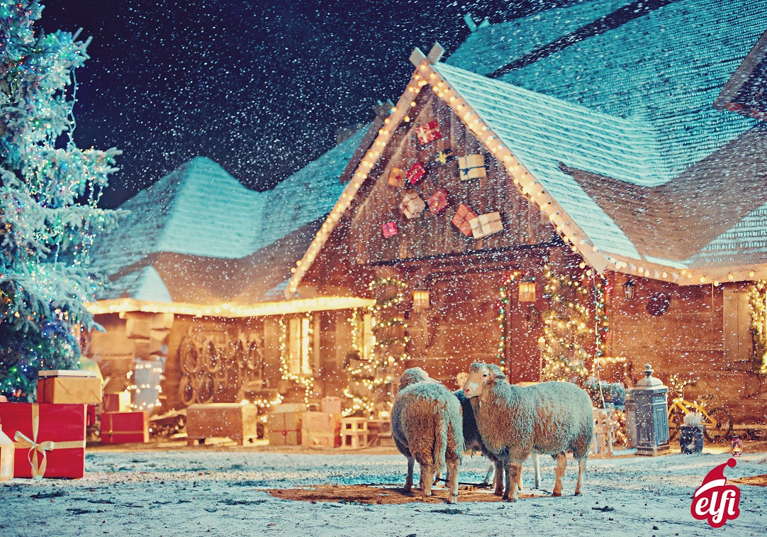 Die Kinder  besuchen den Nordpol