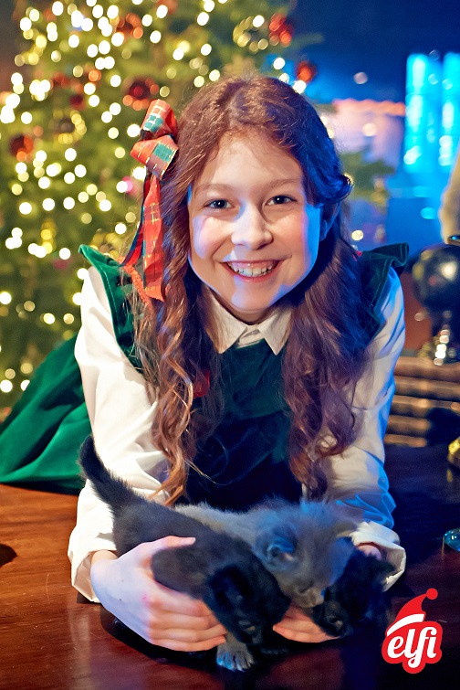 Ein Weihnachtsgeschenk, zu dem zurückkehren können