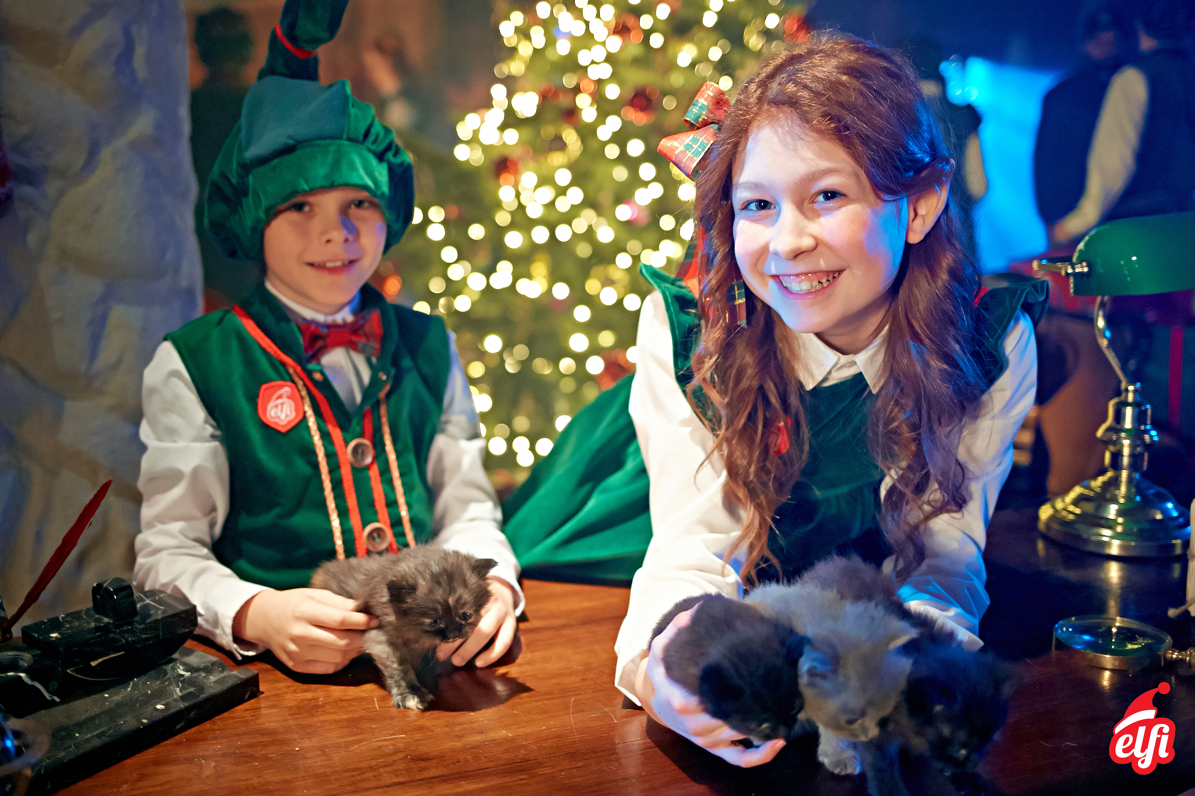 Led Lichterketten für Weihnachtsbaum