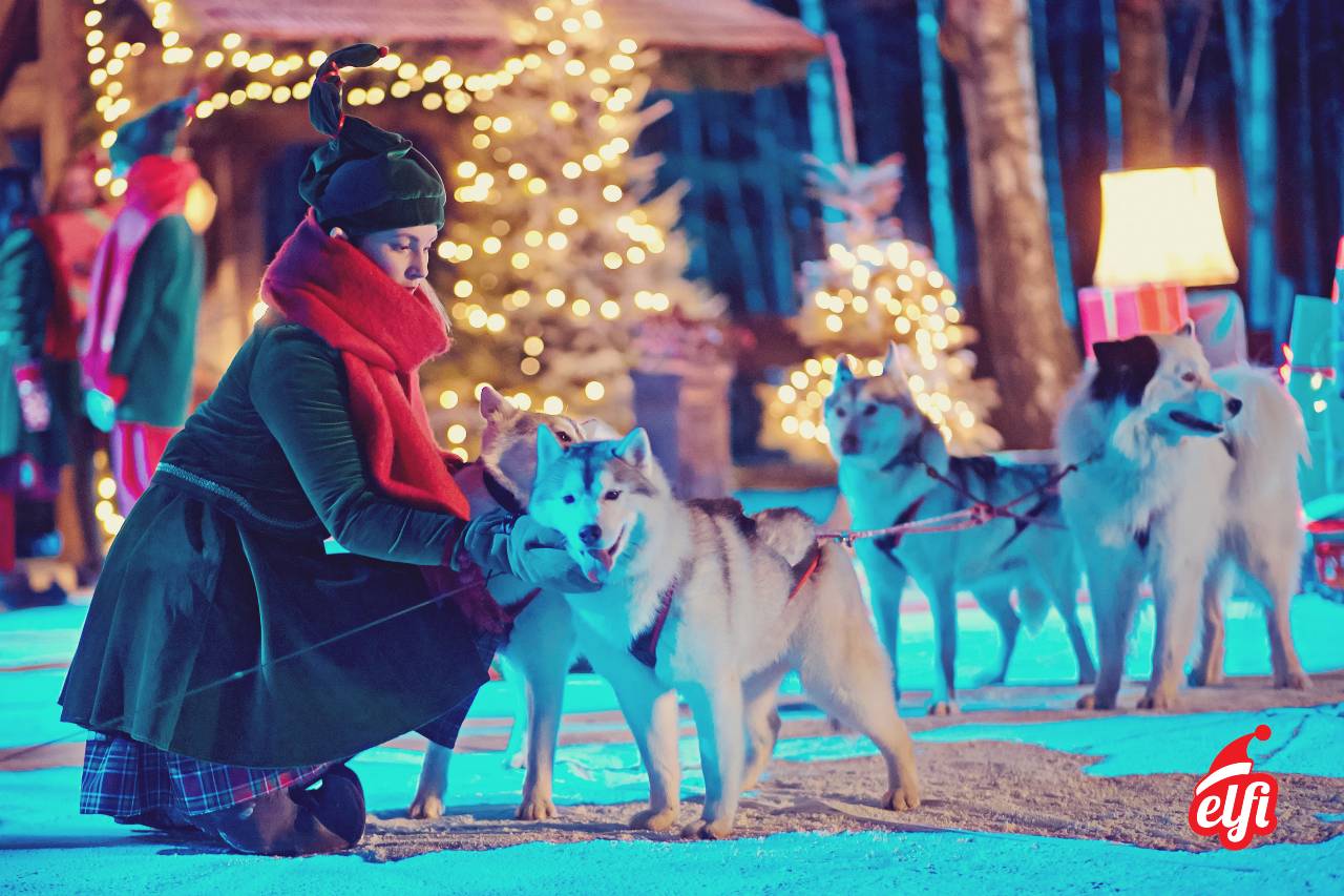 Weihnachtsmann fliegt mit Schlitten